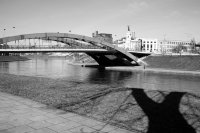 &quot;Pasiekti tiltą&quot; Nijolė Piškinaitė